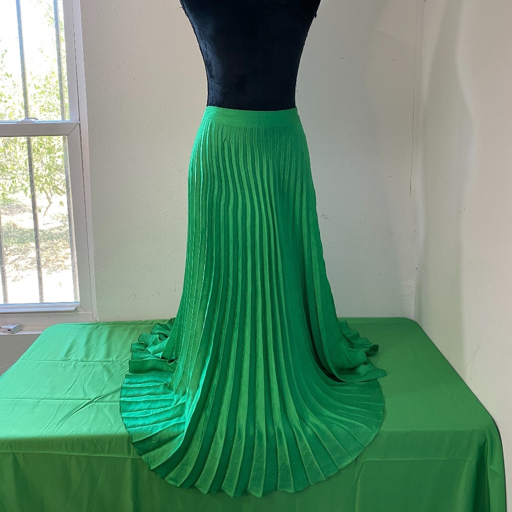 Zara Skirt